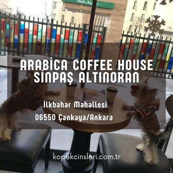 Arabica Coffee House Sinpaş Altınoran
