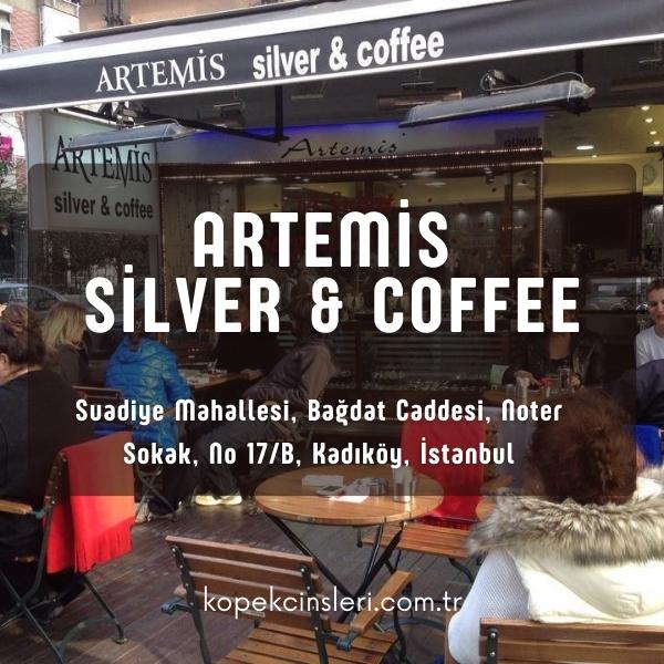 Artemis Silver & Coffee