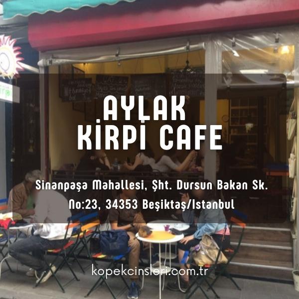 Aylak Kirpi Cafe