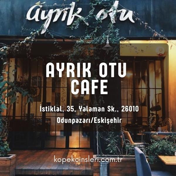 Ayrık Otu Cafe