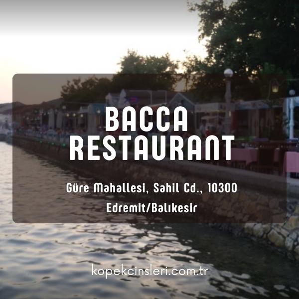 Bacca Restaurant