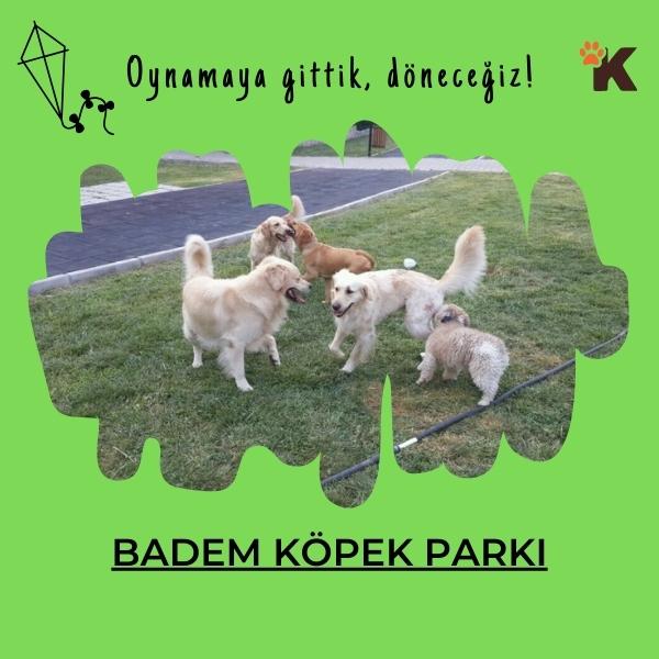Badem Köpek Parkı