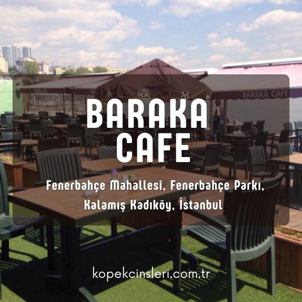 Baraka Cafe