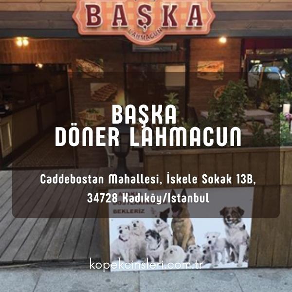 Başka Döner Lahmacun