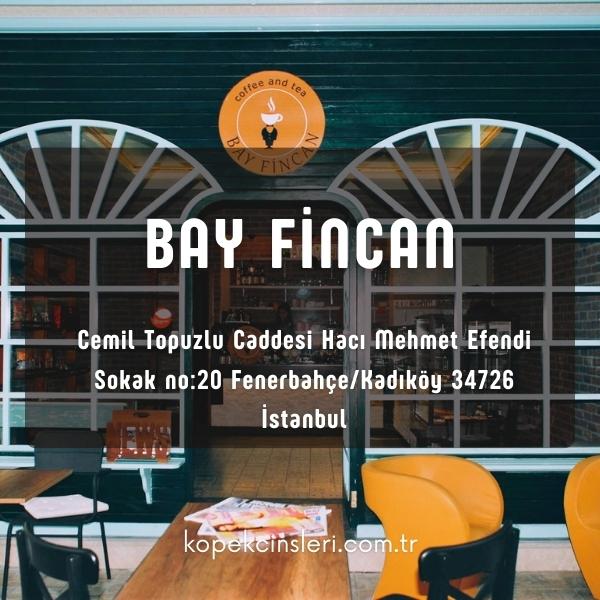 Bay Fincan