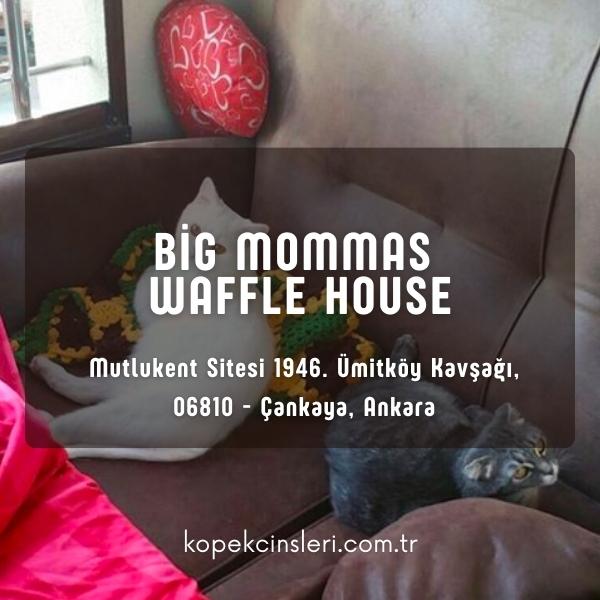 Big Mommas Waffle House