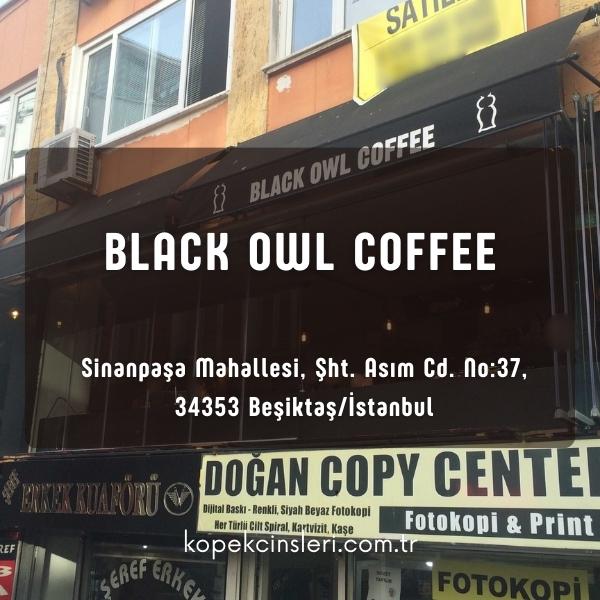 Black Owl Coffee