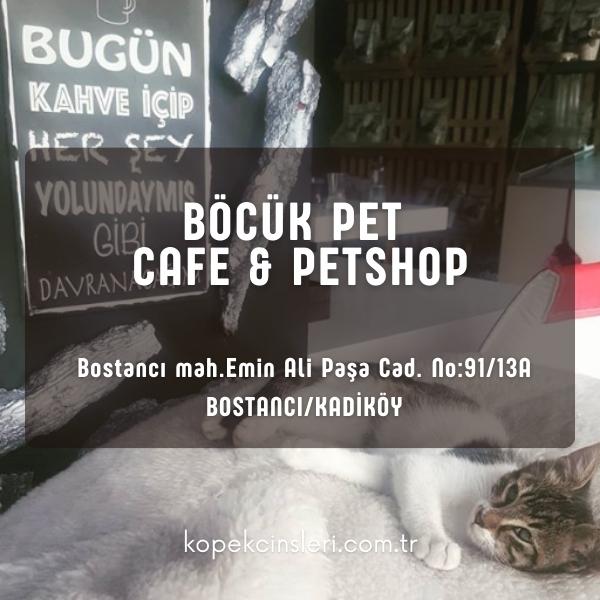 Böcük Pet Shop & Cafe