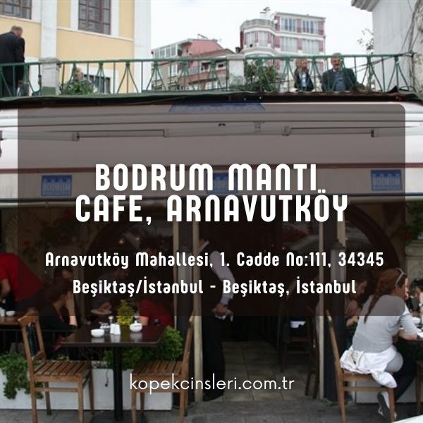 Bodrum Mantı Cafe, Arnavutköy