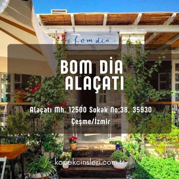 Bom Dia Alaçatı