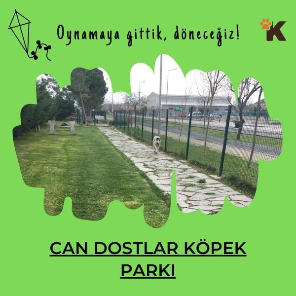 Can Dostlar Köpek Parkı