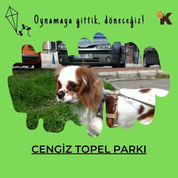 Cengiz Topel Parkı