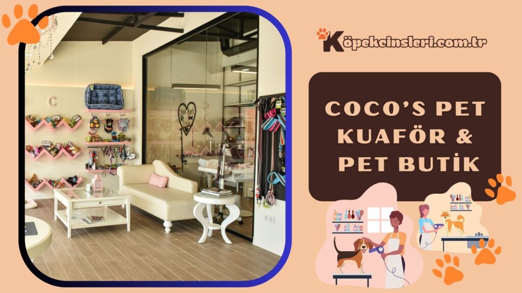 Coco’s Pet Kuaför & Pet Butik