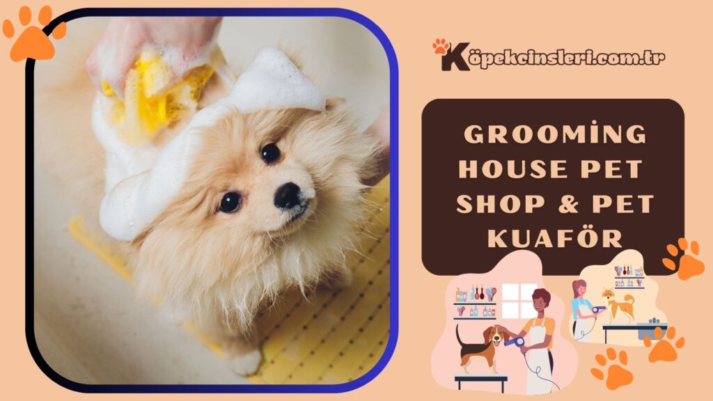 Grooming House Pet Shop