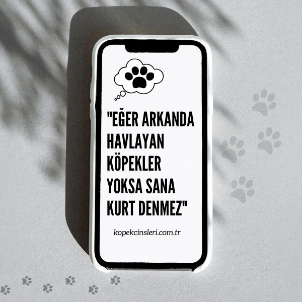 Eğer Arkanda Havlayan Köpekler Yoksa Sana Kurt Denmez