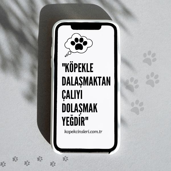 Köpekle Dalaşmaktan Çalıyı Dolaşmak Yeğdir