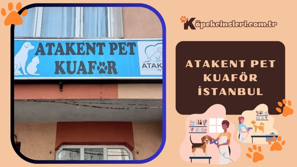 Atakent Pet Kuaför İstanbul