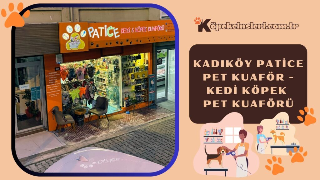 Kadıköy Patice Pet Kuaför