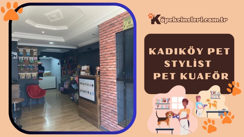 Kadıköy Pet Stylist | Pet Kuaför