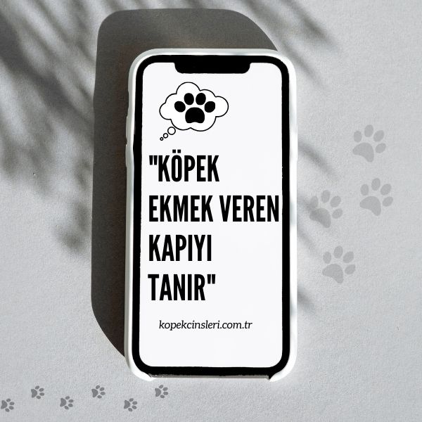 Köpek Ekmek Veren Kapıyı Tanır