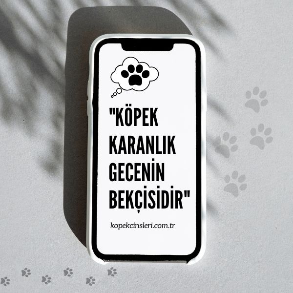 Köpek Karanlık Gecenin Bekçisidir