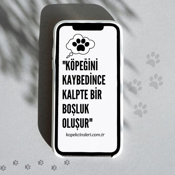 Köpeğini Kaybedince Kalpte Bir Boşluk Oluşur