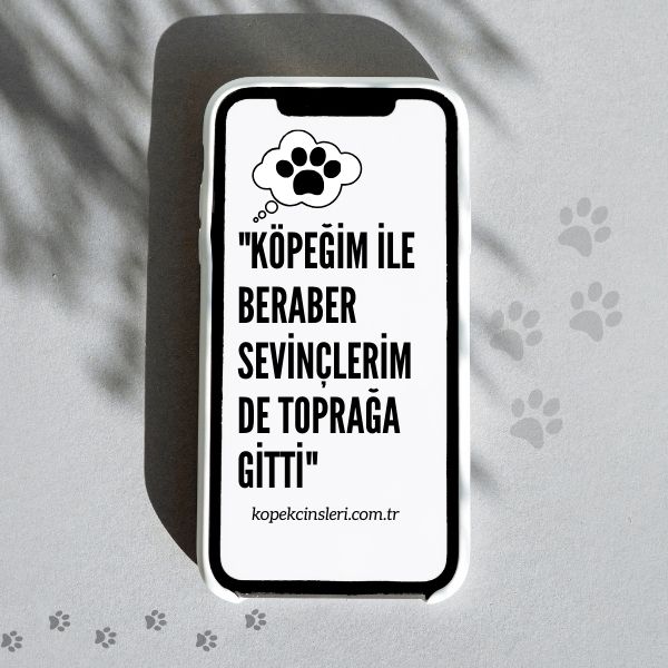 Köpeğim ile Beraber Sevinçlerim de Toprağa Gitti