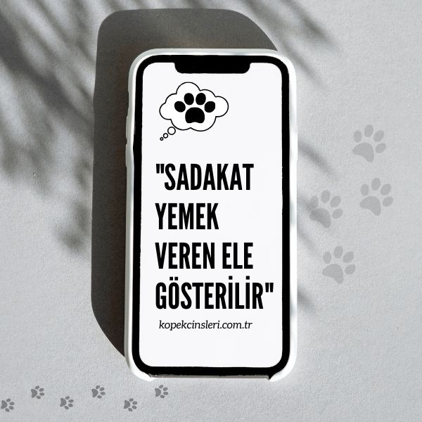 Sadakat Yemek Veren Ele Gösterilir - Köpek İle İlgili Sözler