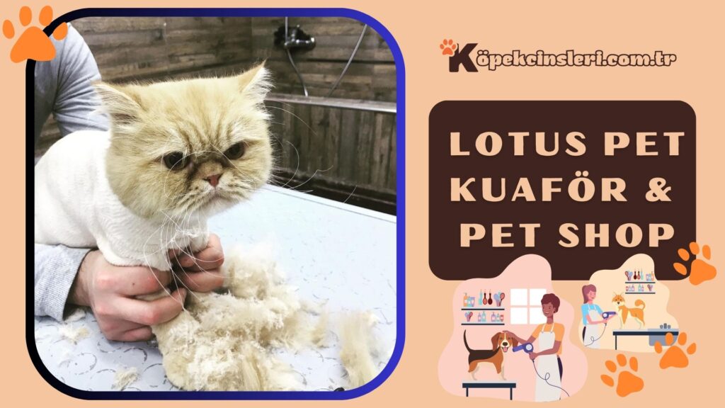 Lotus Pet Kuaför 