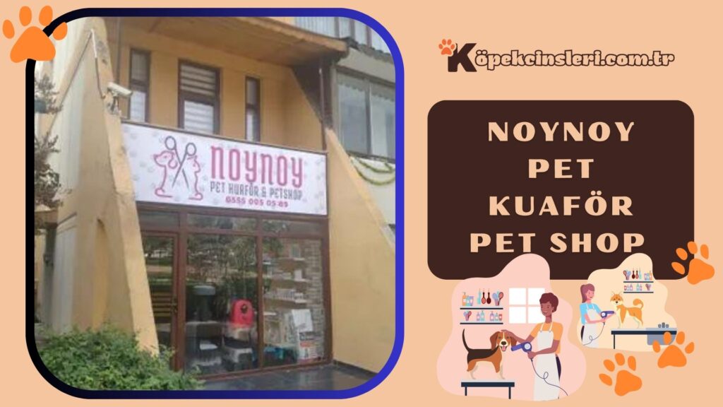 Noynoy Pet Kuaför Pet Shop Otel