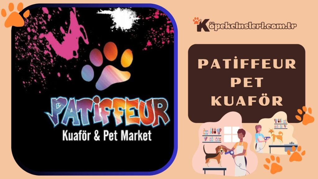 Patiffeur Pet Kuaför