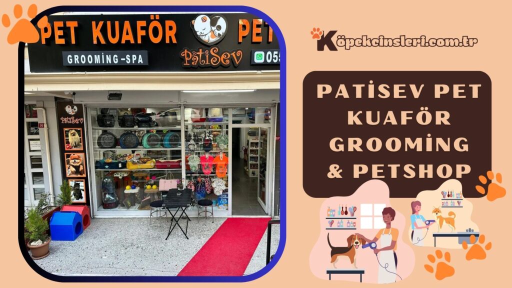 Patisev Pet Kuaför Grooming & Petshop