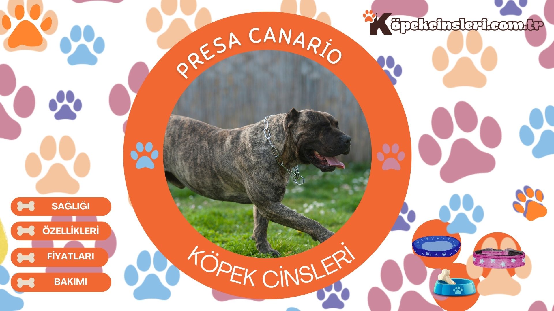 Presa Canario