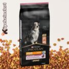 Proplan Köpek Maması