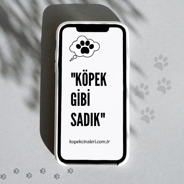 Köpek Gibi Sadık - Köpek İle İlgili Sözler