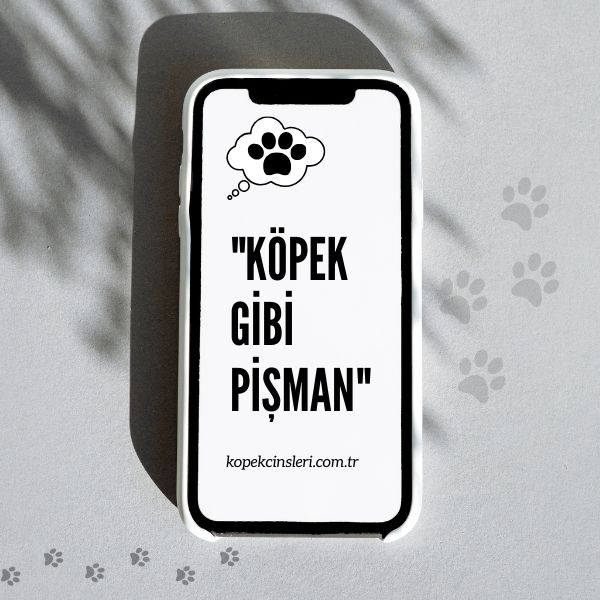 Köpek Gibi Pişman - Köpek İle İlgili Sözler