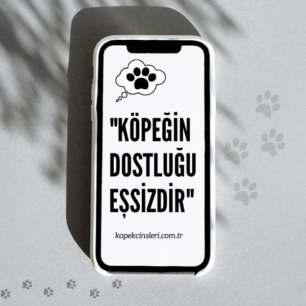 Köpeğin Dostluğu Eşsizdir - Köpek İle İlgili Sözler