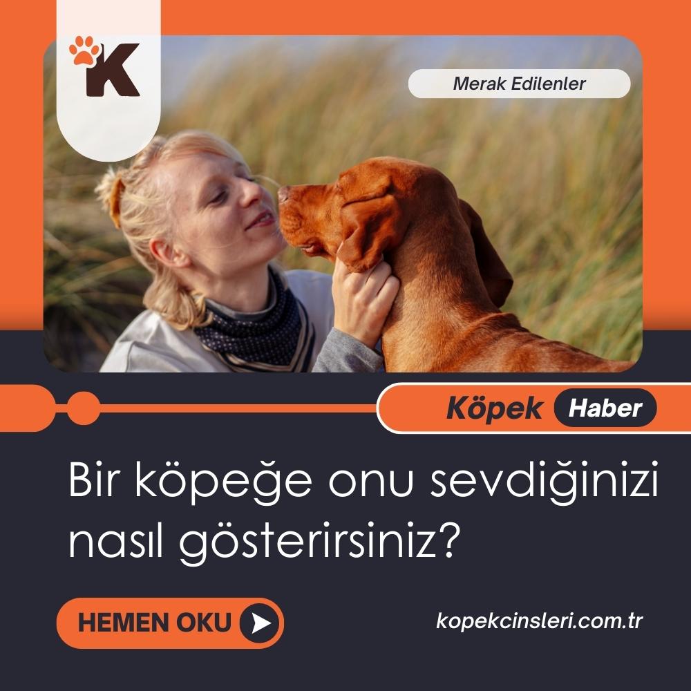 Bir Köpeğe Onu Sevdiğinizi Nasıl Gösterirsiniz