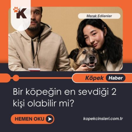 Bir Köpeğin En Sevdiği 2 Kişi Olabilir Mi?