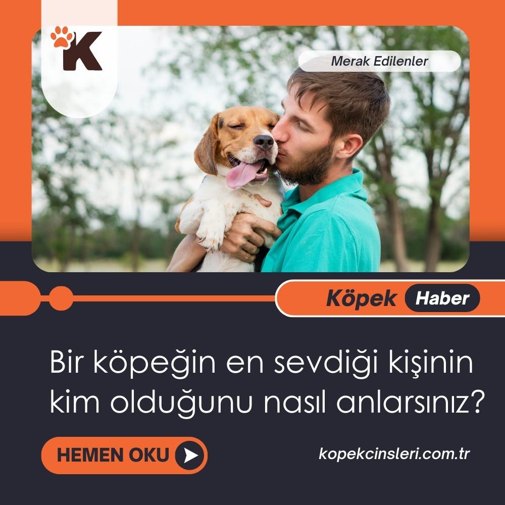 Bir Köpeğin En Sevdiği Kişinin Kim Olduğunu Nasıl Anlarsınız?