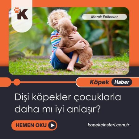 Dişi Köpekler Çocuklarla Daha Mı İyi Anlaşır?