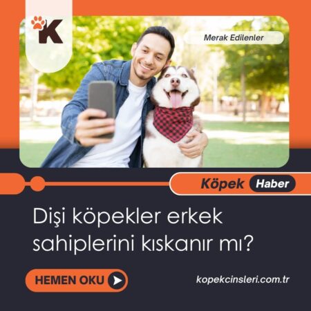 Dişi Köpekler Erkek Sahiplerini Kıskanır Mı?