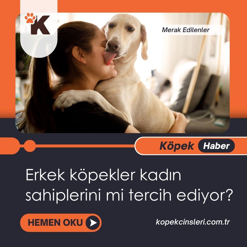 Erkek Köpekler Kadın Sahiplerini Mi Tercih Ediyor