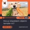 Havuç Köpeklerin Dişlerini Temizler Mi?