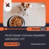 Hindi Köpek Maması Köpekleri Sakinleştirir Mi?