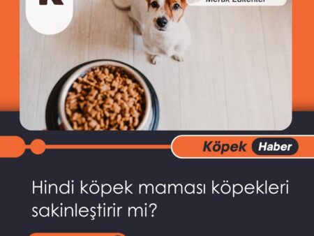Hindi Köpek Maması Köpekleri Sakinleştirir Mi?