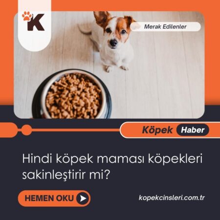 Hindi Köpek Maması Köpekleri Sakinleştirir Mi?