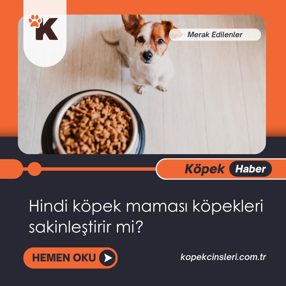 Hindi Köpek Maması Köpekleri Sakinleştirir