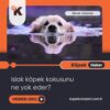 Islak Köpek Kokusunu Ne Yok Eder?