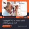 Köpeğim 10 Yıl Sonra Beni Hatırlayacak Mı?